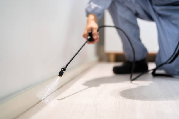 Certified termite inspector examining foundation in Benwood