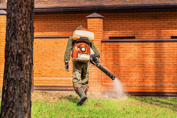 Bed Bug Clearance Verification and Documentation in Benwood